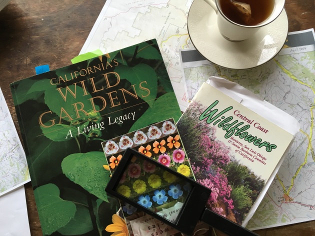 wildflower books